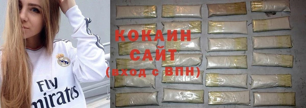 твердый Касимов