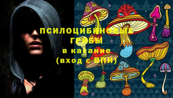 хмурый Карталы