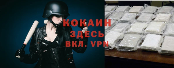 твердый Касимов